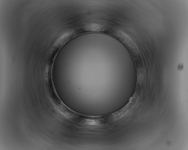 X0000098000167200804021040