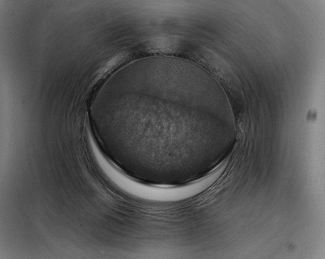 X0000098000168200804021040