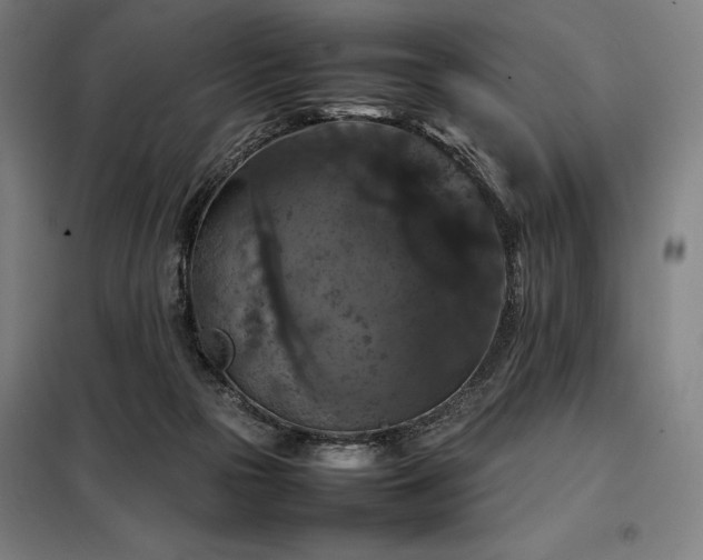 X0000098000169200804021040