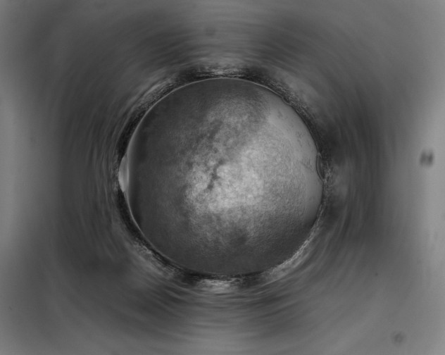 X0000098000170200804021040