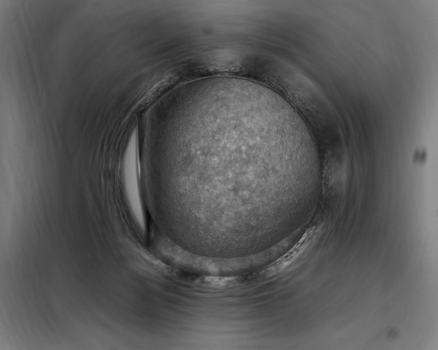 X0000098000172200804021040