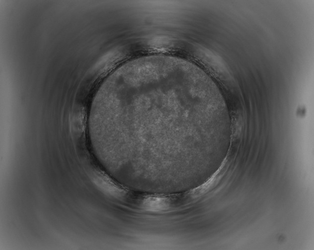 X0000098000174200804021040