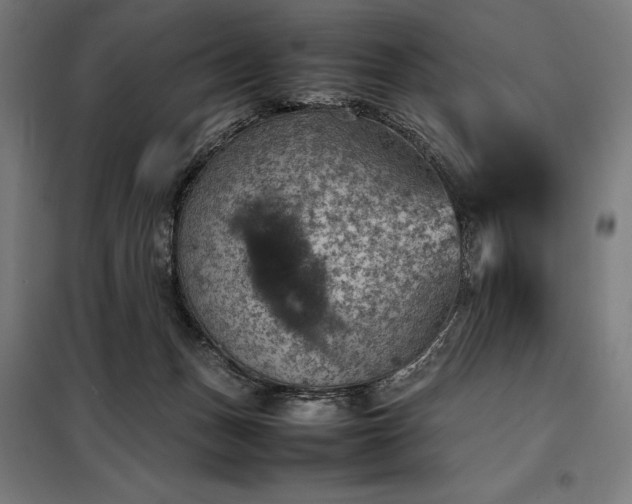 X0000098000175200804021040