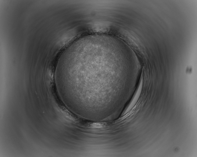 X0000098000176200804021040