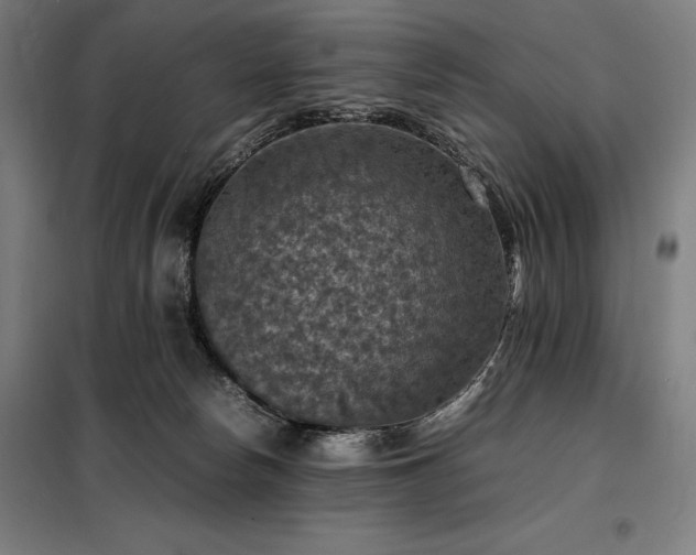 X0000098000178200804021040