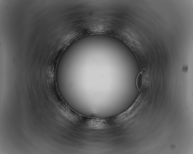 X0000098000179200804021040