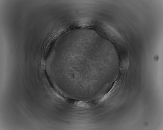 X0000098000180200804021040