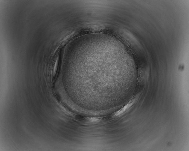 X0000098000184200804021040