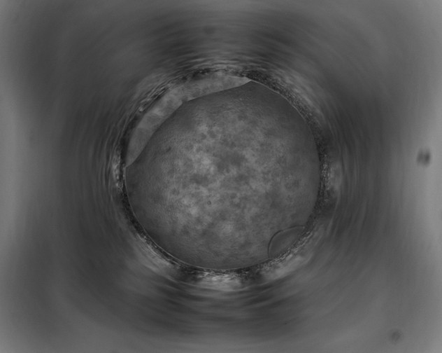X0000098000185200804021040