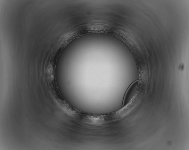 X0000098000187200804021040