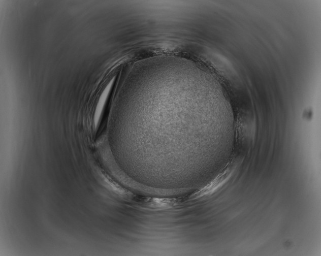 X0000098000188200804021040