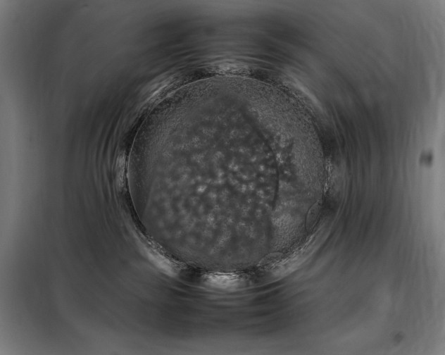 X0000098000189200804021040