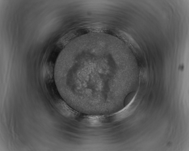 X0000098000190200804021040