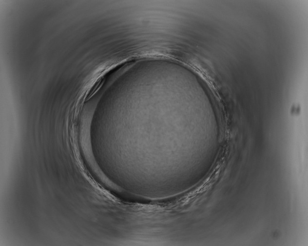 X0000098000193200804021039