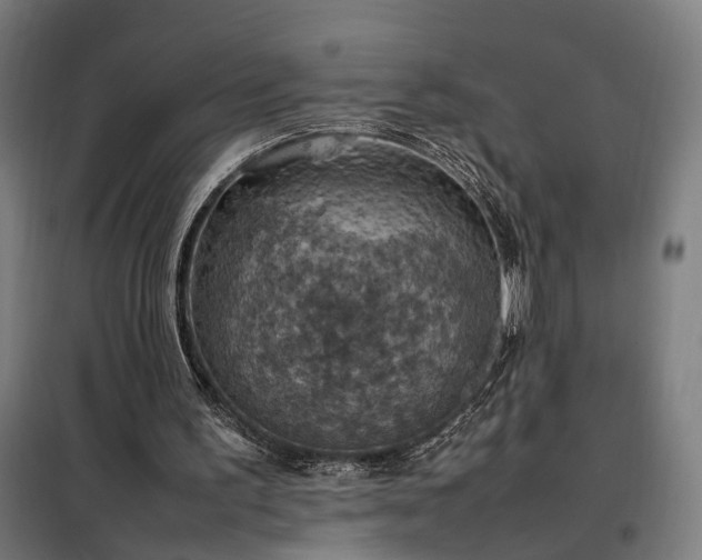X0000098000195200804021039