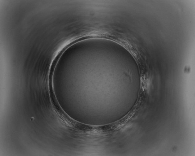X0000098000196200804021039