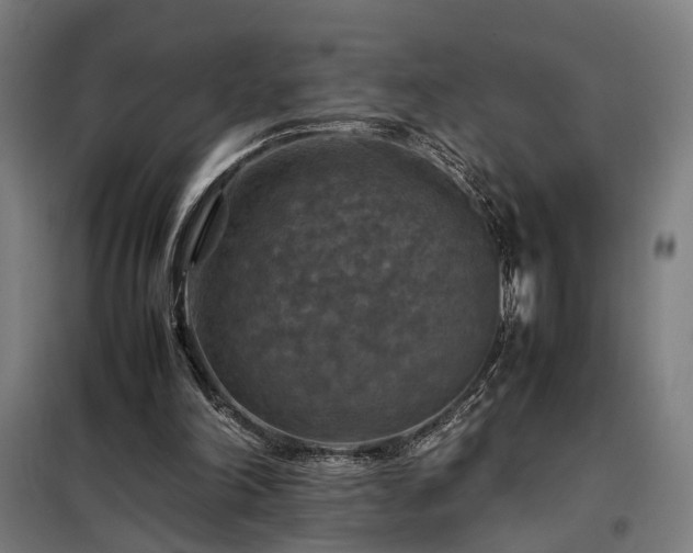 X0000098000198200804021039