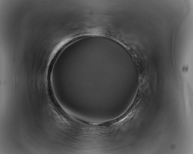 X0000098000200200804021039
