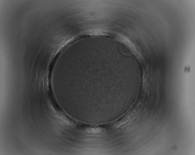 X0000098000202200804021039