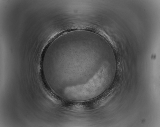 X0000098000203200804021039
