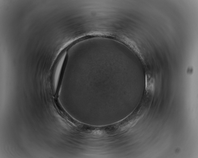 X0000098000204200804021039