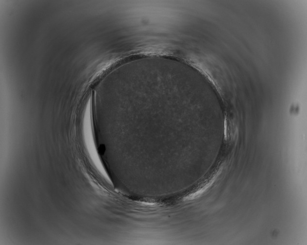 X0000098000205200804021039