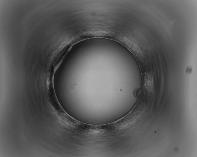 X0000098000206200804021039