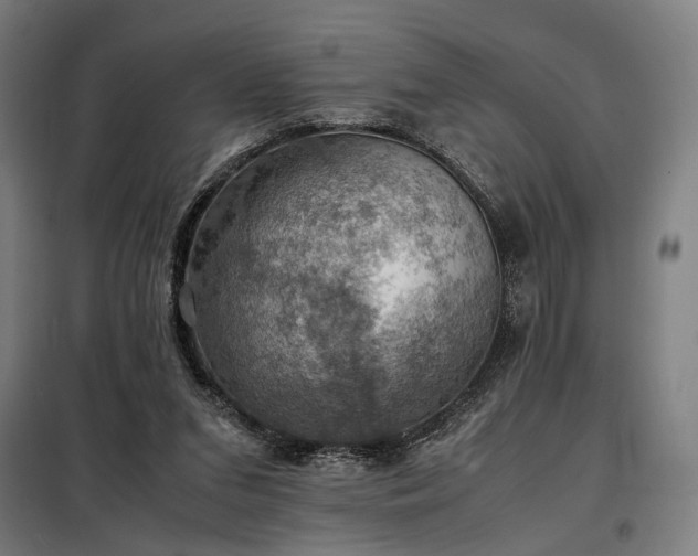 X0000098000207200804021039