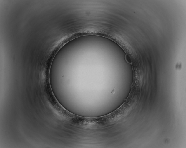 X0000098000208200804021039