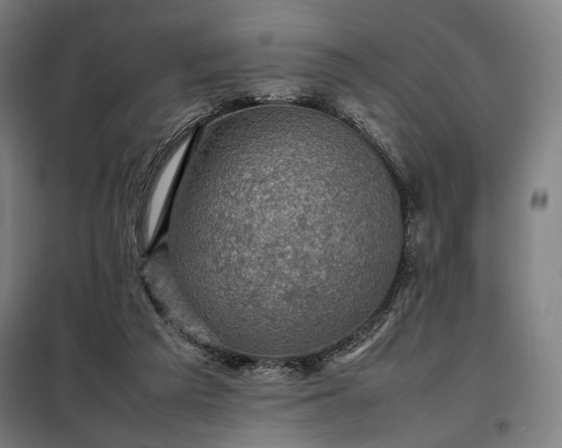 X0000098000209200804021039