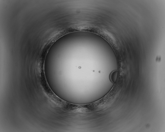 X0000098000210200804021039