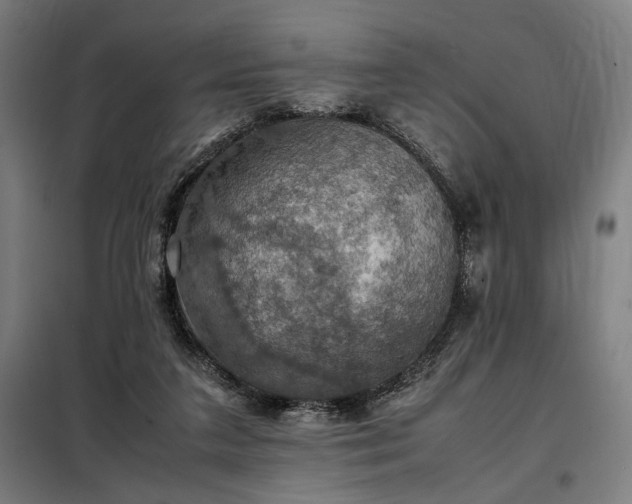 X0000098000211200804021039