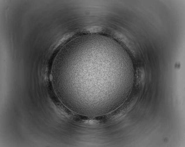 X0000098000212200804021039