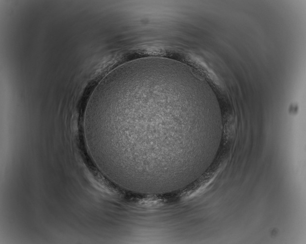 X0000098000213200804021039