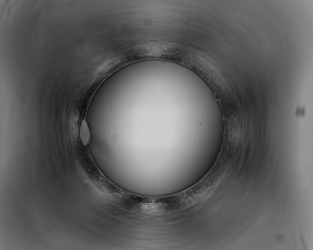 X0000098000216200804021039