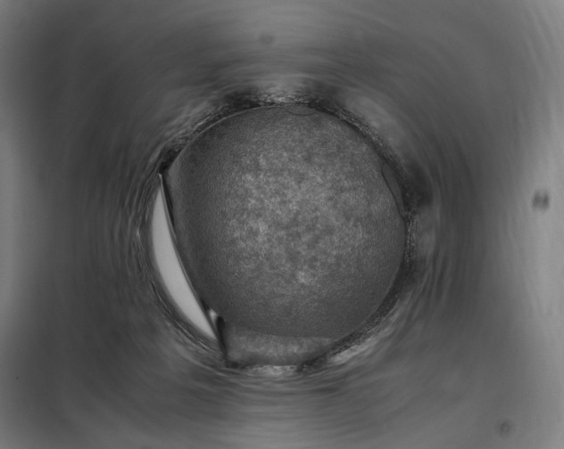 X0000098000217200804021039