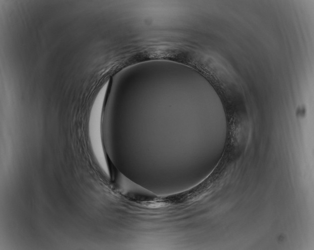X0000098000219200804021039