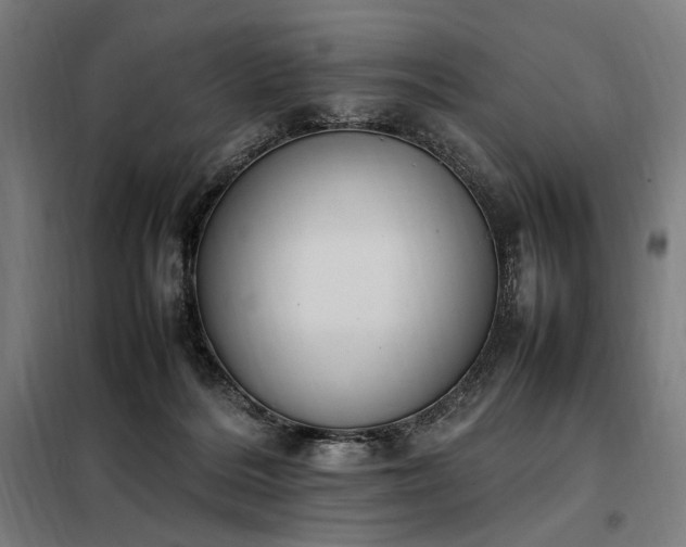 X0000098000220200804021039