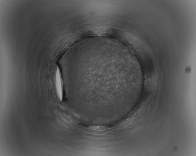 X0000098000221200804021039