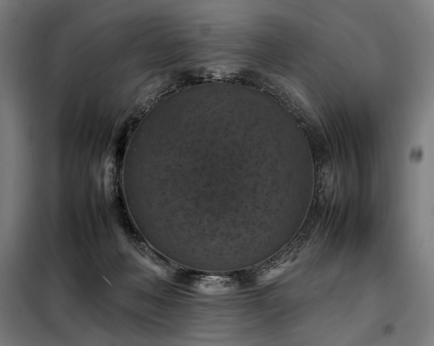 X0000098000222200804021039