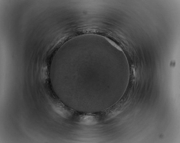 X0000098000224200804021039