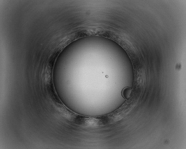 X0000098000226200804021039