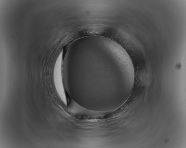 X0000098000227200804021039