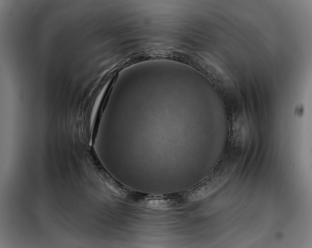 X0000098000228200804021039