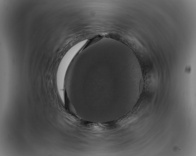 X0000098000229200804021039