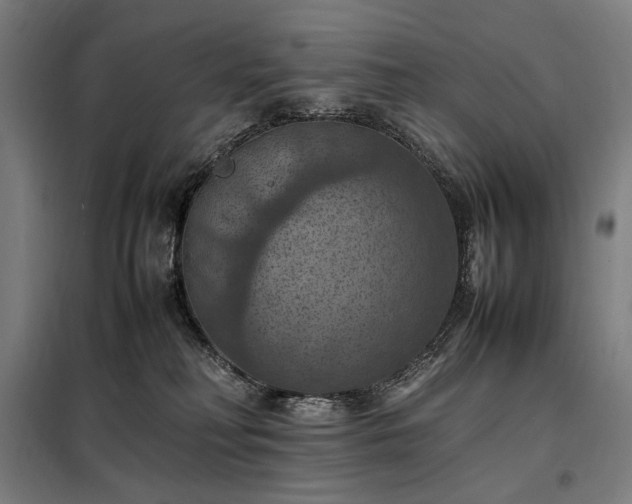 X0000098000230200804021039