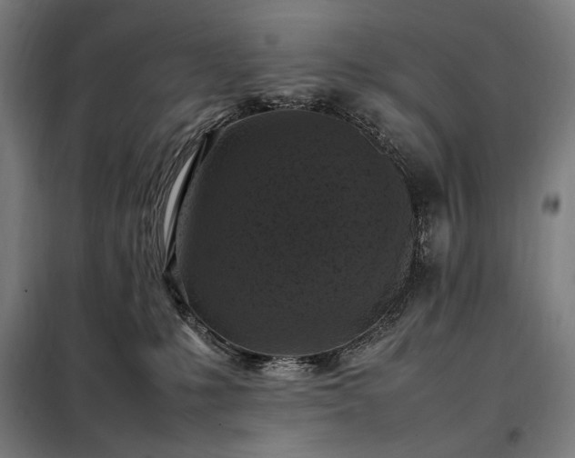 X0000098000231200804021039