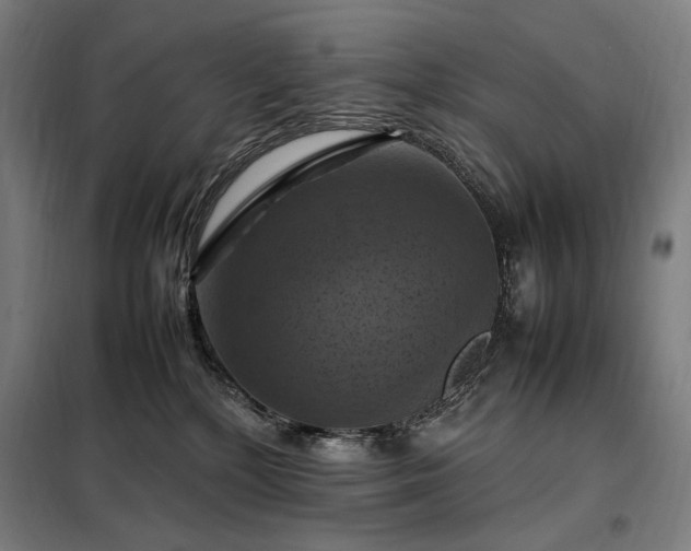 X0000098000232200804021039