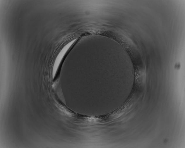 X0000098000233200804021039