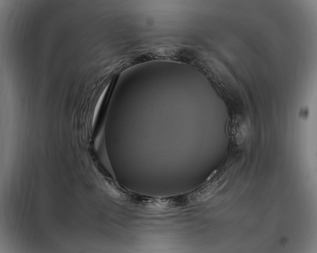 X0000098000235200804021039